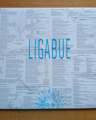 Vinile Ligabue