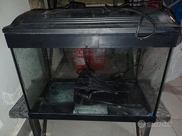 Acquario di media piccola dimensione 