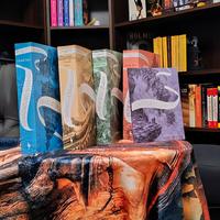 L'attraversaspecchi - saga di Christelle Dabos