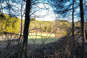 Terreno agricolo tra Tres e Prio