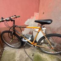 Bici mountainbike TRATTABILE