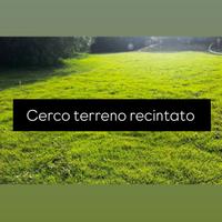 Terreno recintato