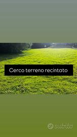 Terreno recintato