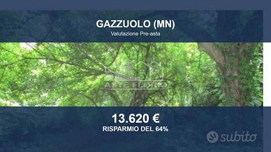 Immobile in asta di 415 m² a Gazzuolo