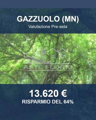 Immobile in asta di 415 m² a Gazzuolo