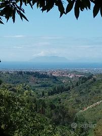Terreno agricolo