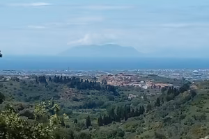 Terreno agricolo