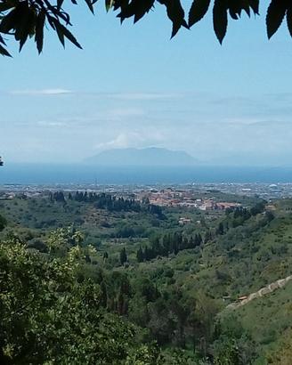 Terreno agricolo