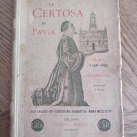 La Certosa di Pavia, Luca Beltrami, 1895