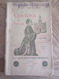 La Certosa di Pavia, Luca Beltrami, 1895