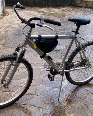 Citybike uomo