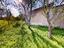 Immagine 12