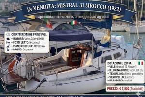 Barca a vela Mistral 31