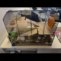 Gabbia criceto zolux neo