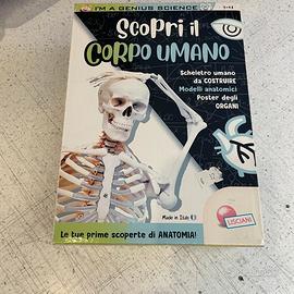 Gioco in scatola Scopri il corpo umano nuovo