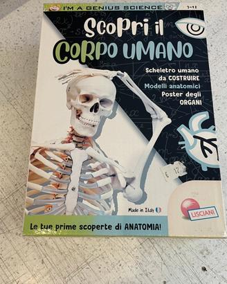 Gioco in scatola Scopri il corpo umano nuovo