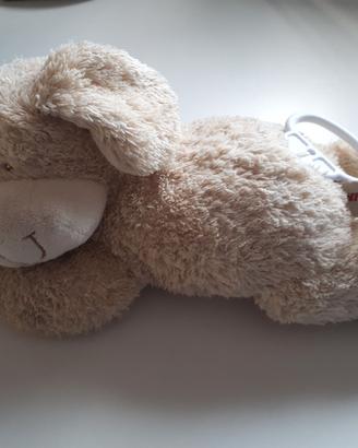 Cagnolino carion