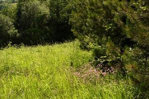 Casale con terreno