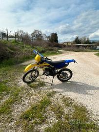 Beta 50 RR 2008