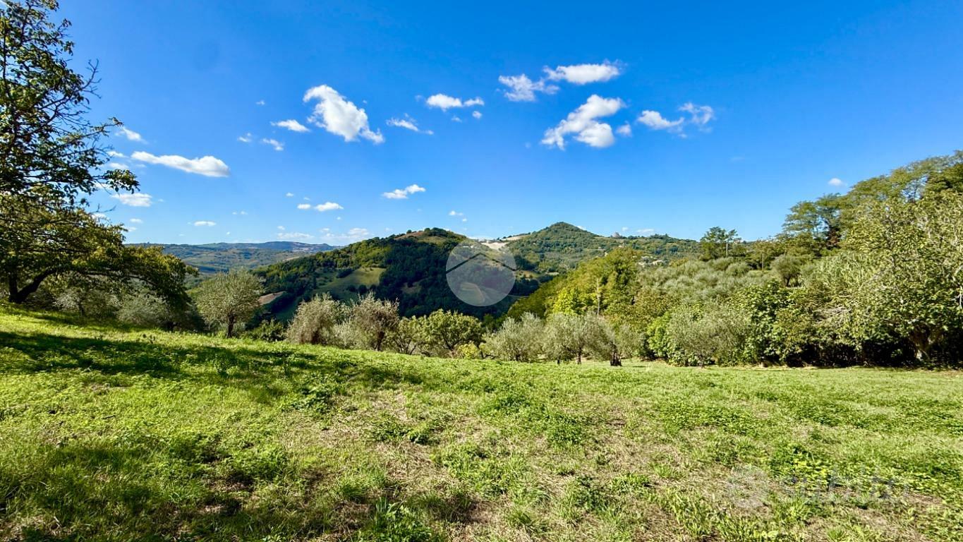 TER. AGRICOLO A SALUDECIO - Vista 3
