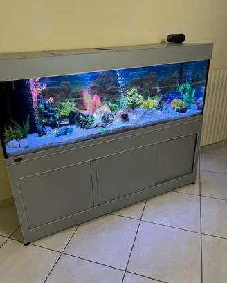 Acquario