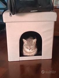 Cuccia puff per gatto