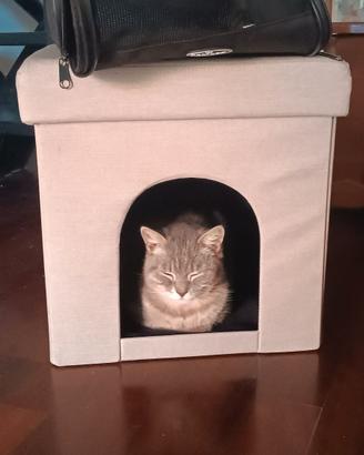 Cuccia puff per gatto