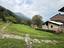 Immagine 15
