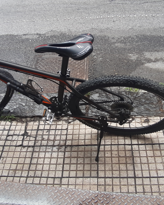 Mtb vision 6
