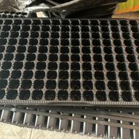 Seminiere / alveoli in plastica per la semina