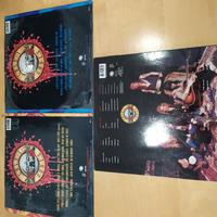 Vinile Guns and Roses