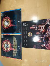 Vinile Guns and Roses