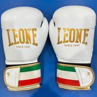 Guantoni da Boxe LEONE NUOVI