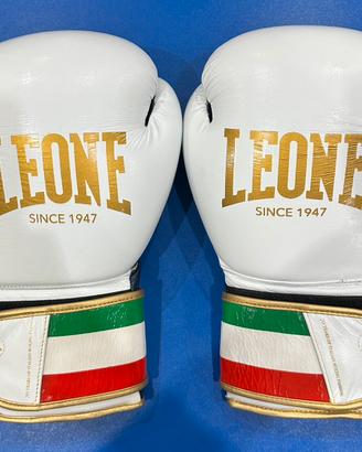Guantoni da Boxe LEONE NUOVI