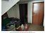 Immagine 12