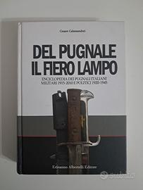 Del pugnale il fiero lampo