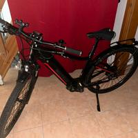 Bici elettrica