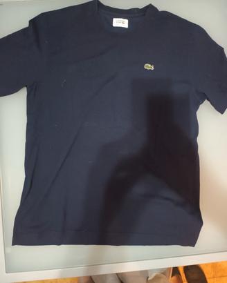 Lacoste sport 