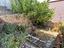 Immagine 14