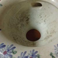 Antica Sputacchiera in Ceramica - Decori Floreali