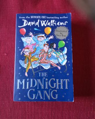 Libro inglese ragazzi illustrato David Williams 