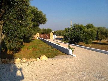PAJARA SALENTINA-TRULLO nel Salento vicino al mare