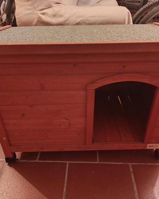 Cuccia per cane