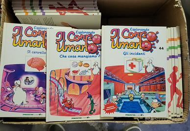 collezione esplorando il corpo umano