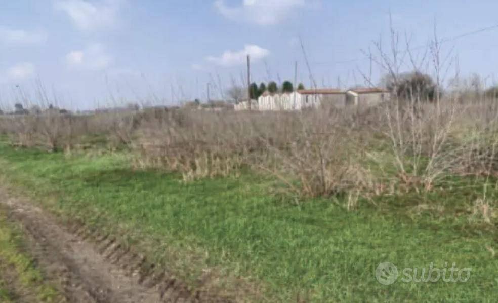 Immobile in asta di 10537 m² a Sorgà - Vista 3