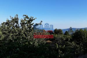 Casa di campagna - Graniti