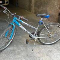 BICICLETTA CERCHIO 26