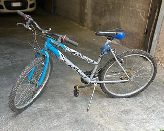 BICICLETTA CERCHIO 26