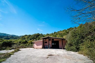 Capannone ad Affile, Cuore del Vino Cesanese
