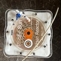 Reattore di alghe Pacificsun